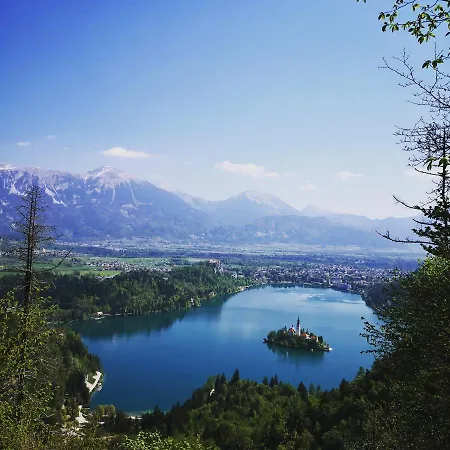 Skok Affittacamere Bled